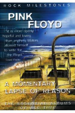 Pink Floyd : Pink Floyd's A Momentary Lapse Of Reason